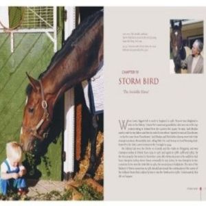 So gentle was Storm Bird, that even the very young were allowed to visit him. He endeared himself to the whole O'Brien family. Then, in early in 1981, the colt sufferred an ugly assault at Ballydoyle. A disgruntled employee got into his stall and slashed off his mane and tale. Although Storm Bird appeared to recover, everything went wrong in his 3 year-old season. A brilliant career had ended.