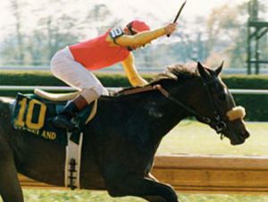 Wilderness Song was a brilliant filly who had the misfortune of being born in the same year as her stable companion, Dance Smartly. Nevertheless, she retired a millionaire and was inducted into the Canadian Racing Hall of Fame in 2008.