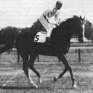 The handsome PENNANT may not have been PETER PAN'S best son but he was a solid campaigner and useful sire. 