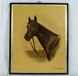 EQUIPOISE shown here in a stunning portrait by photographer Sutcliffe. Source: EBAY