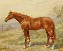 WALLACE was the best of Carbine's sons. Painting by Martin Stainforth