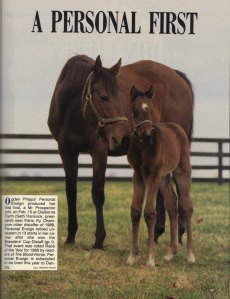 PERSONAL ENSIGN with her colt foal, MINER'S MARK. The dam of MY FLAG and grandam of STORMFLAGFLYING and WAR EMBLEM was a champion from track to foaling barn. 