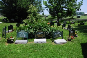 Old Friends HALL OF FAME, where the spirit of greatness mingles with the scents of summer in the Bluegrass. Photo and copyright, Liz Read.